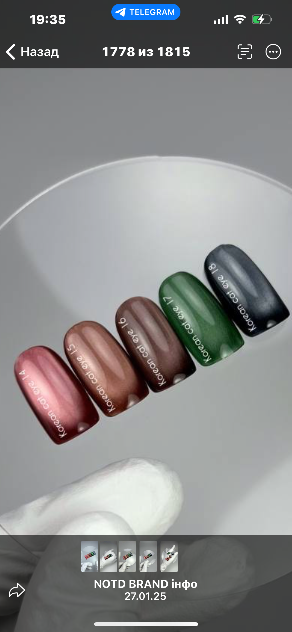 Korean Cat Eye 17 – Smaragdgrün mit elegantem Metallic-Schimmer