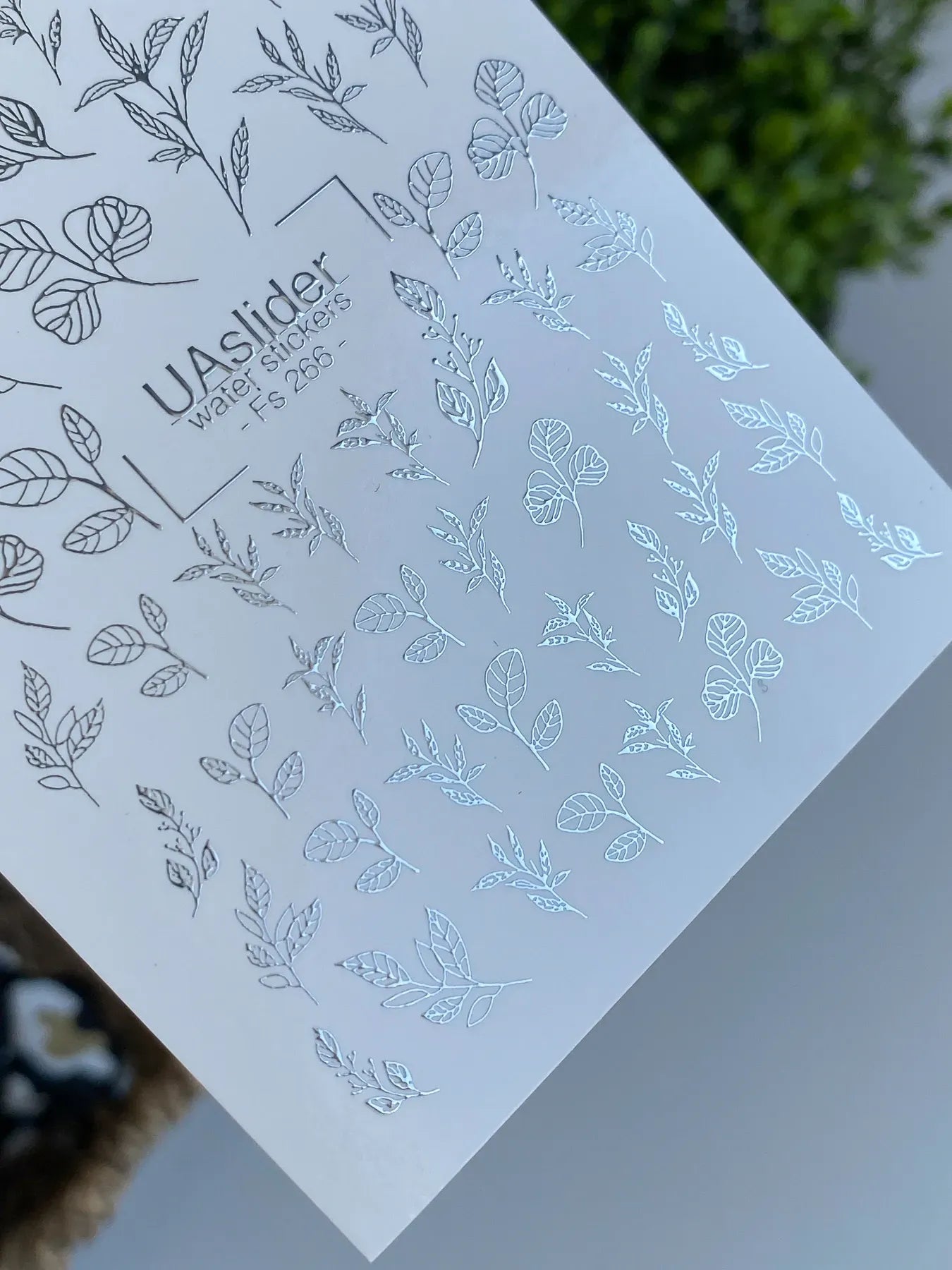 Slider-Design FS 266 | Wasser-Decals mit Silberfolie | Botanische Blätter & Minimal Line Art