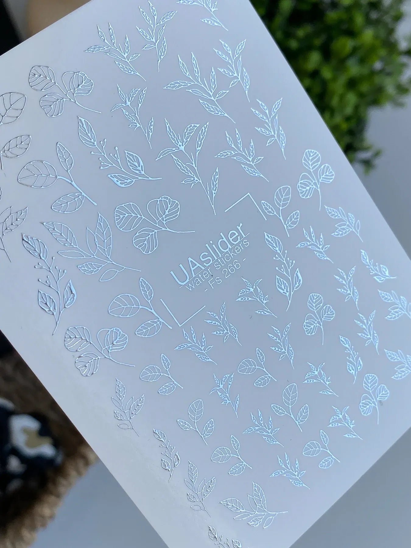 Slider-Design FS 266 | Wasser-Decals mit Silberfolie | Botanische Blätter & Minimal Line Art