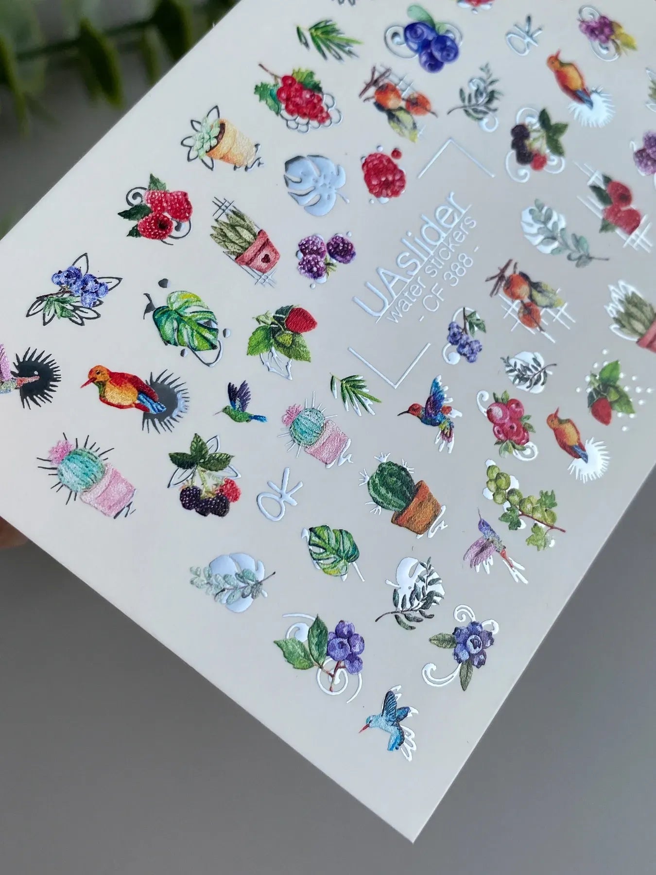 Slider-Design CF 388 | Wasser-Decals | Botanical & Birds