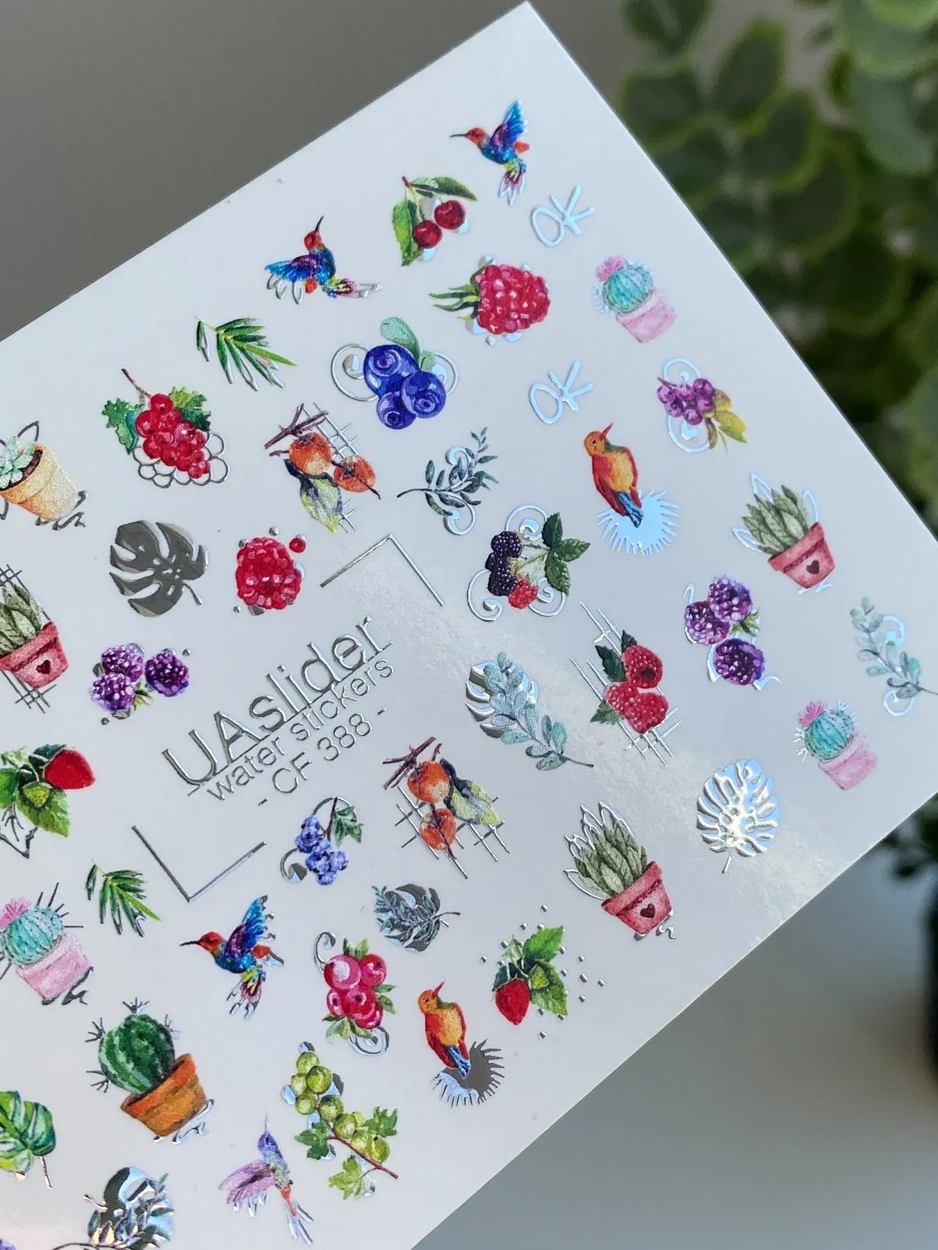 Slider-Design CF 388 | Wasser-Decals | Botanical & Birds