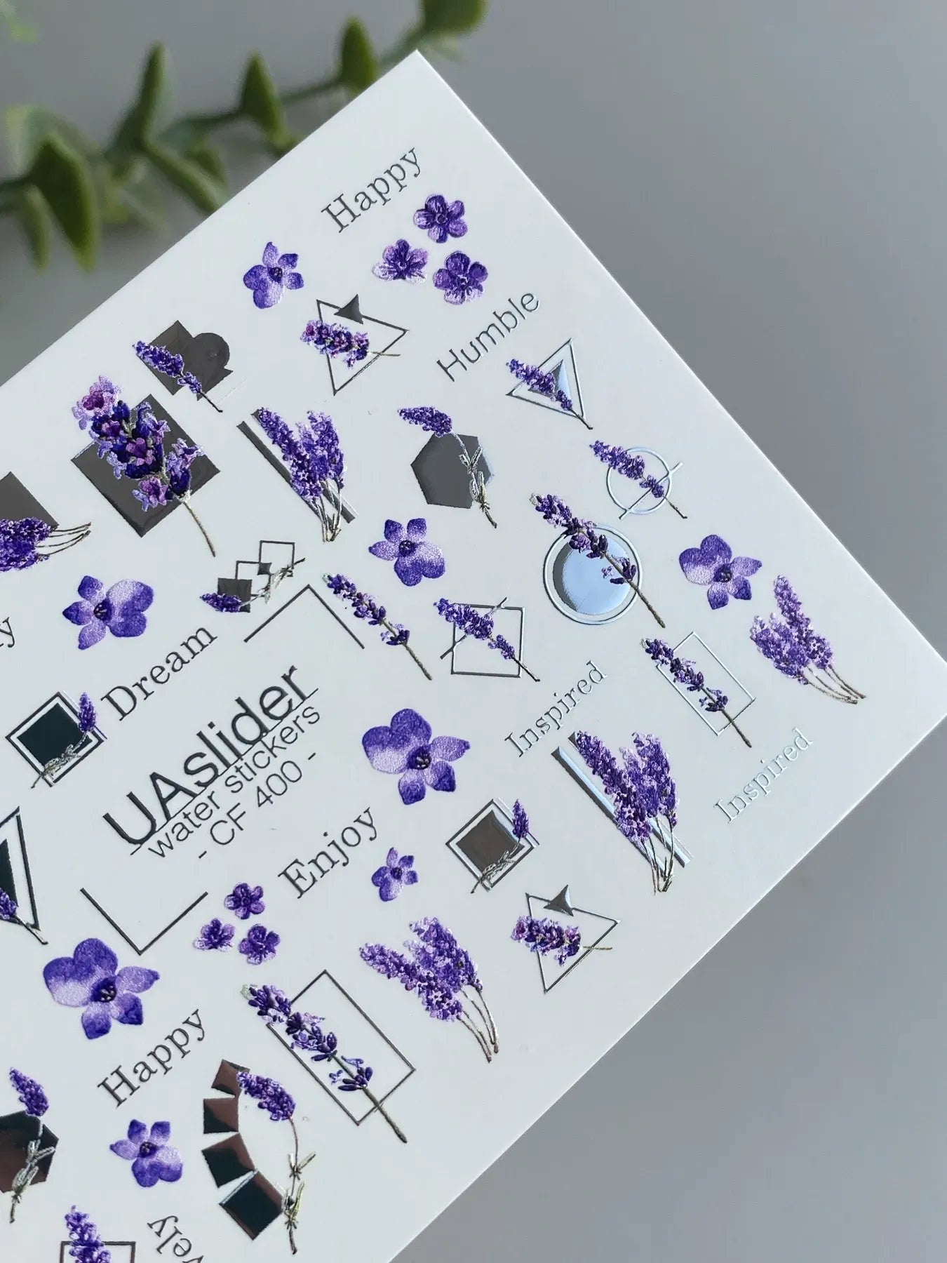 Slider-Design CF 400 | Wasser-Decals | Lavender Quotes & Geometric Frames